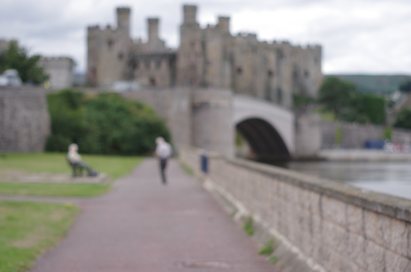 Focus 55mm takumar at f2 with rimmed M42 adapter Focus 55mm takumar at f2 with rimmed M42 adapter